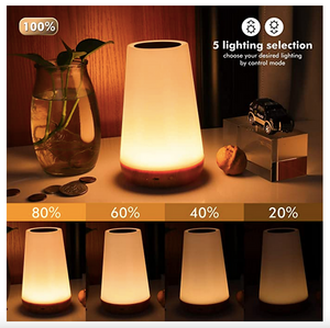 WonderSkyLight™ - Portable Touch Lamp